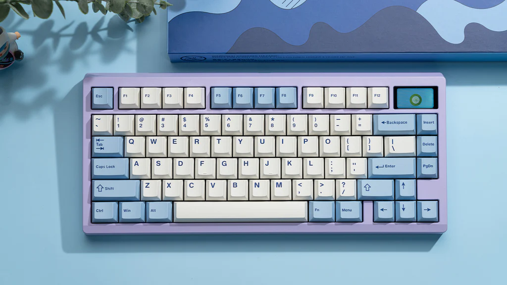 WS PBT Keycaps