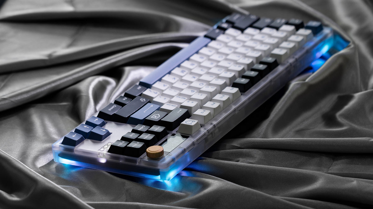 ZOOM TKL DYNA Frosted Clear