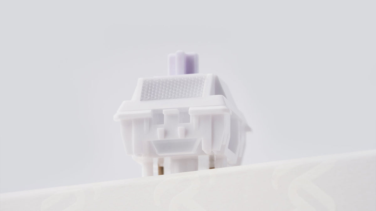 WS Morandi Switch（(35Pcs)）