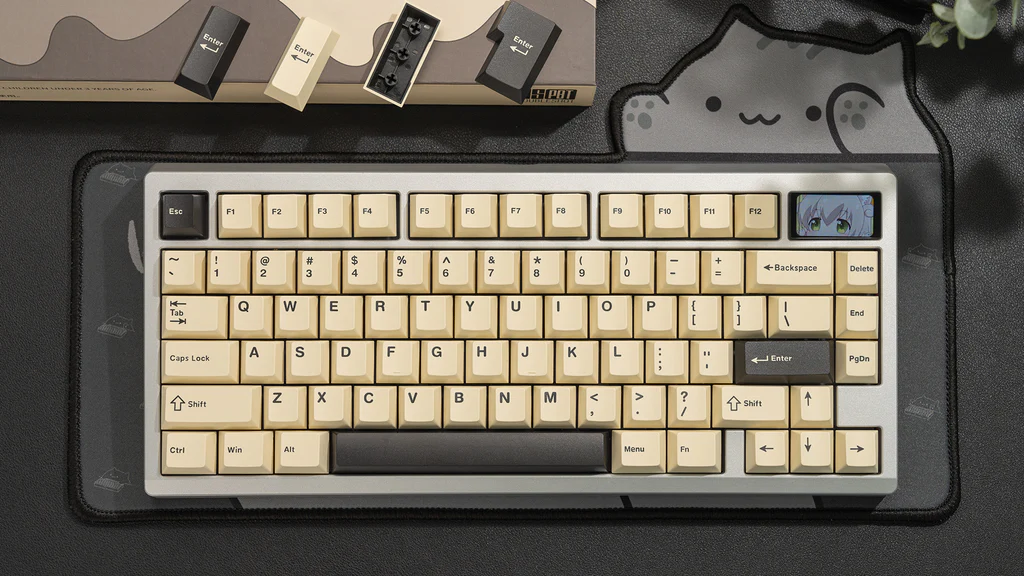 WS PBT Keycaps