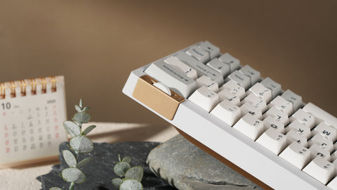 [In Stock]Zoom64 Moonstone White