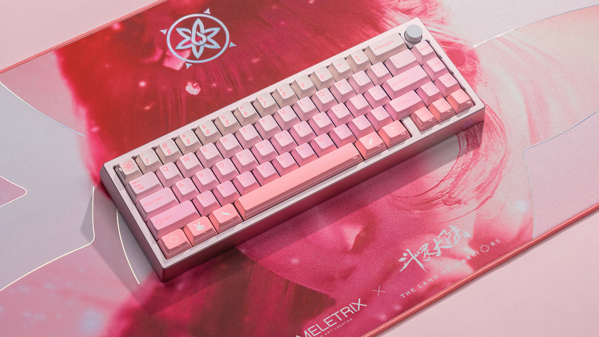 ZOOM65 V2 x Soul Land 시리즈